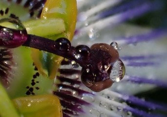 P1114358a.jpg